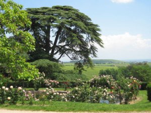 chambre hote chateau Beaujolais 4 epis 69 Rhne Lantignie Morgon Regnie